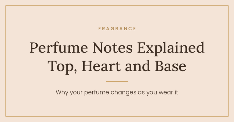 Sujidelle guide: perfume notes explained